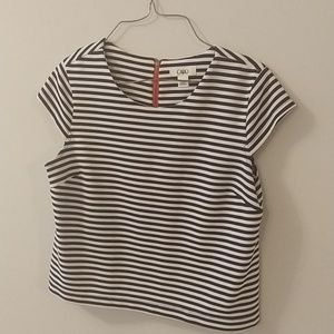 Navy and White Stripe Crop Top EUC